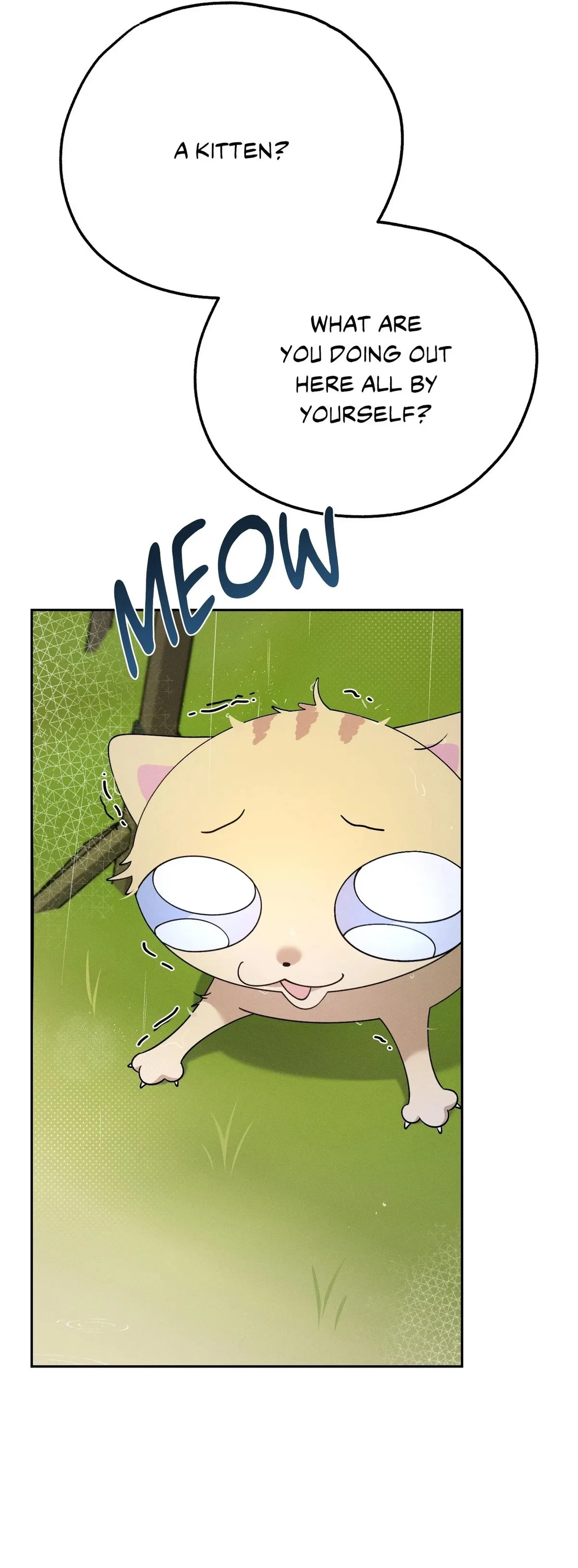 Chapter 5, page 54