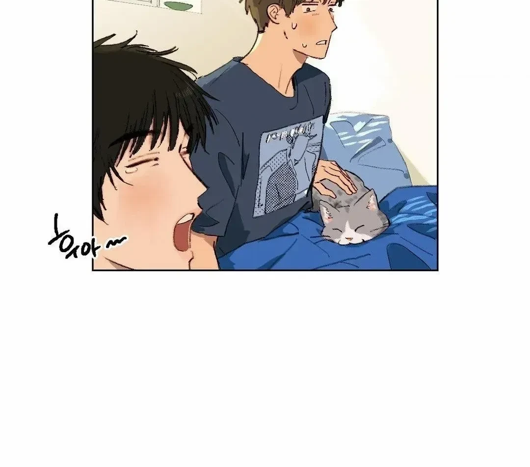 Chapter 4.1, page 13
