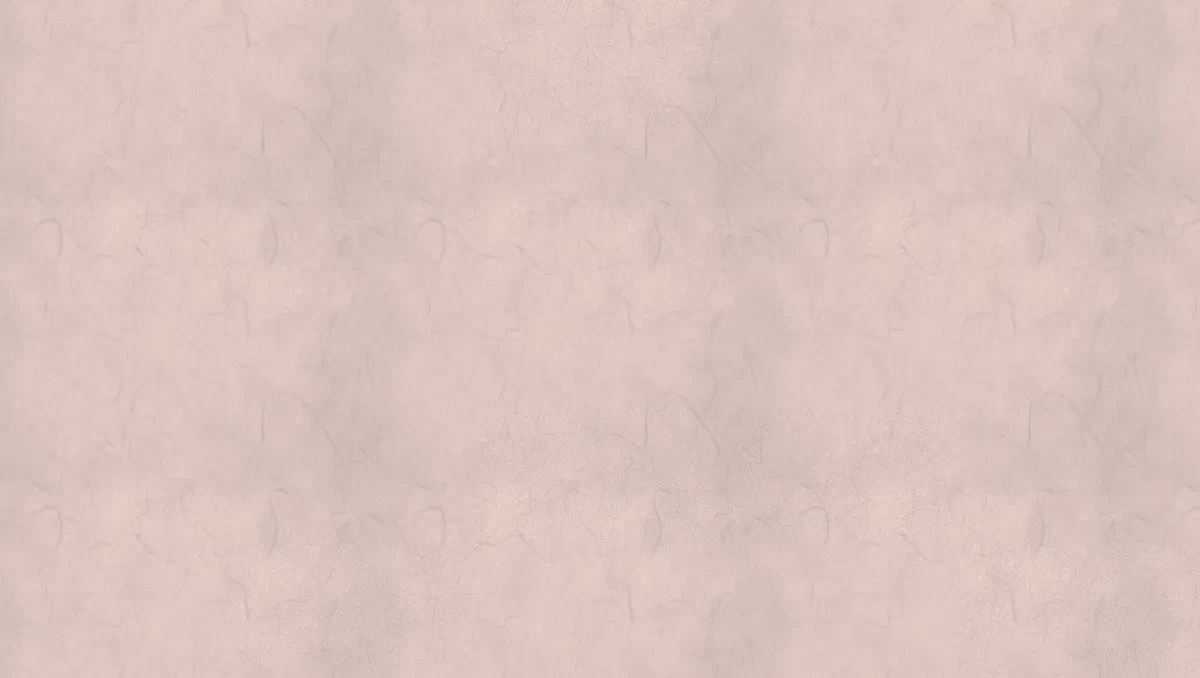 Chapter 25.05, page 17
