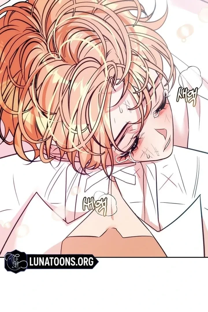Chapter 3, page 102
