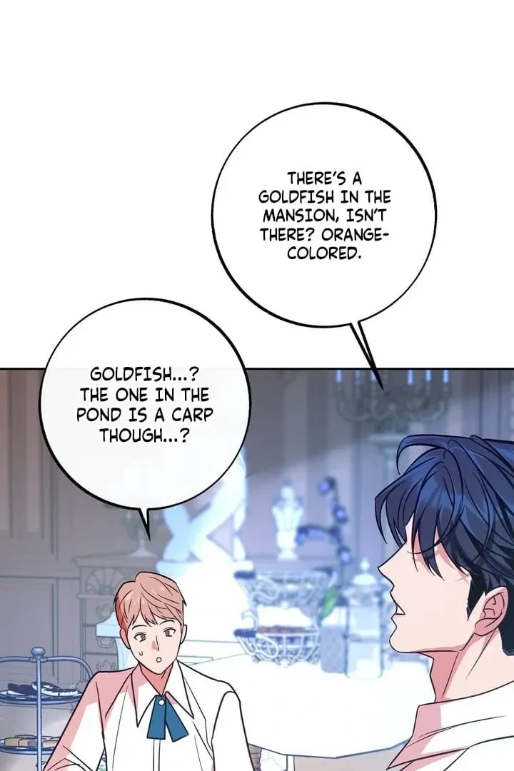 Chapter 3, page 44