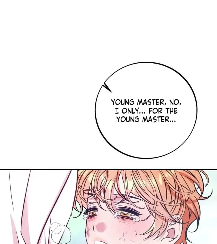 Chapter 3, page 97