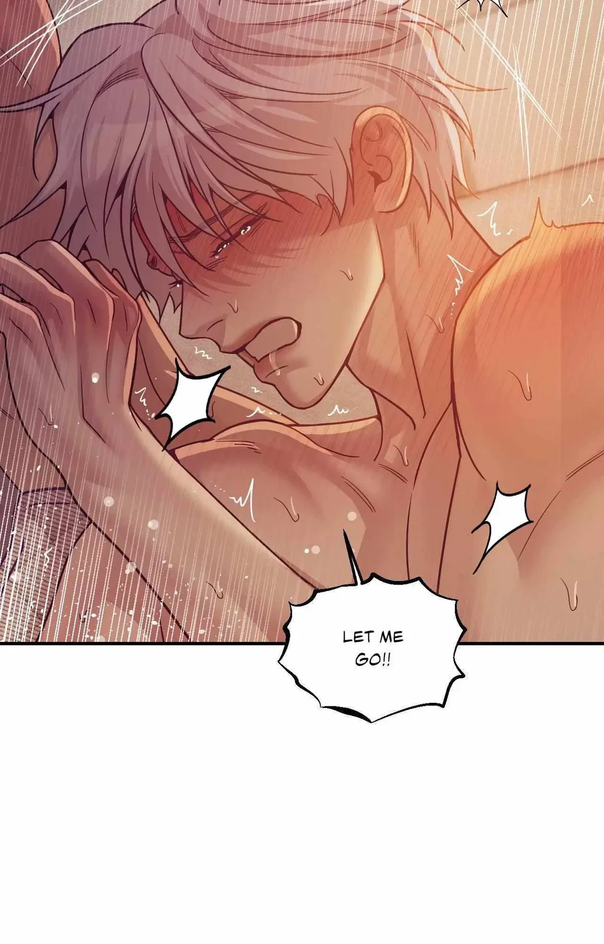 Side. : 17, page 22
