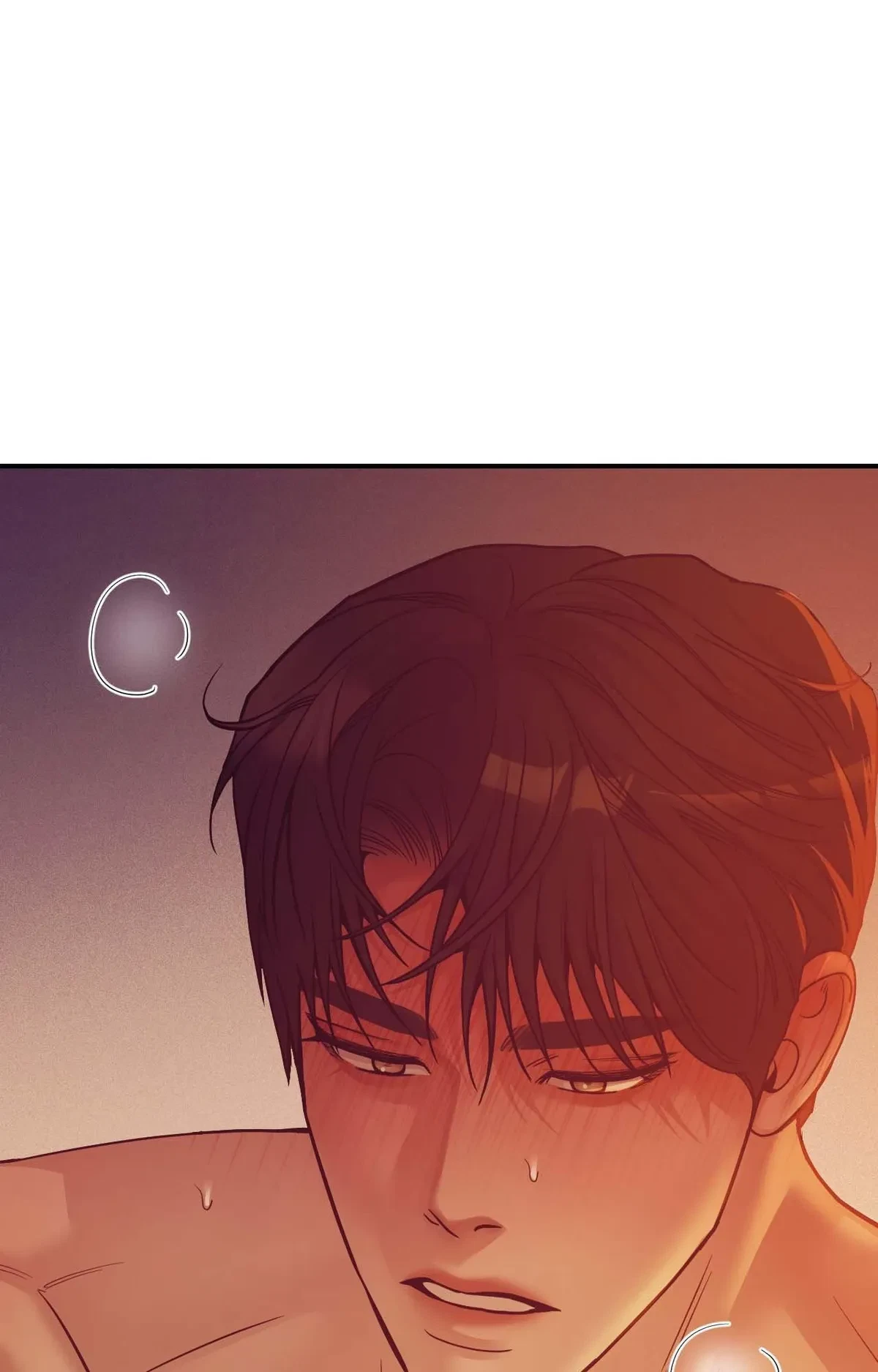 Side. : 17, page 65
