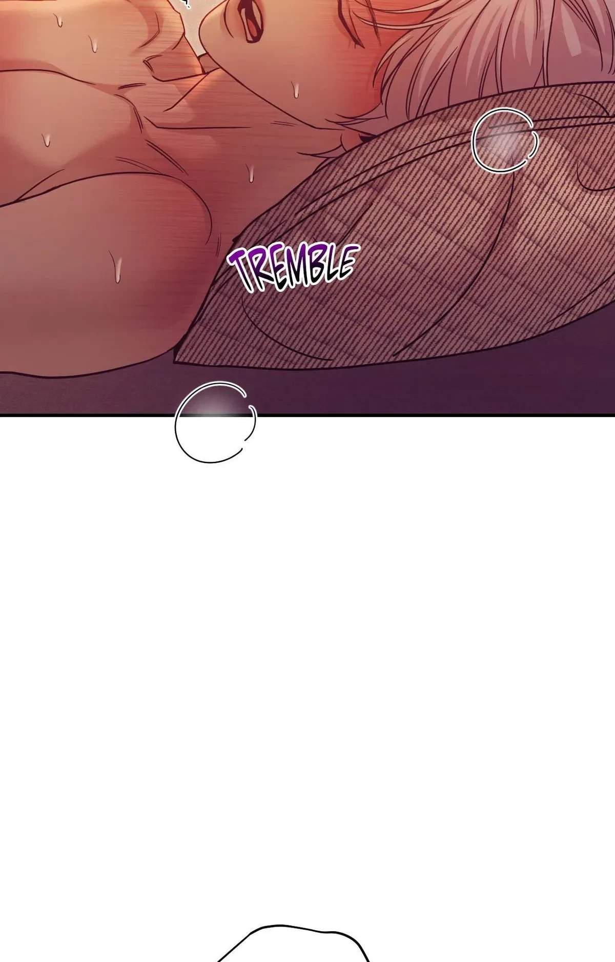 Side. : 17, page 81