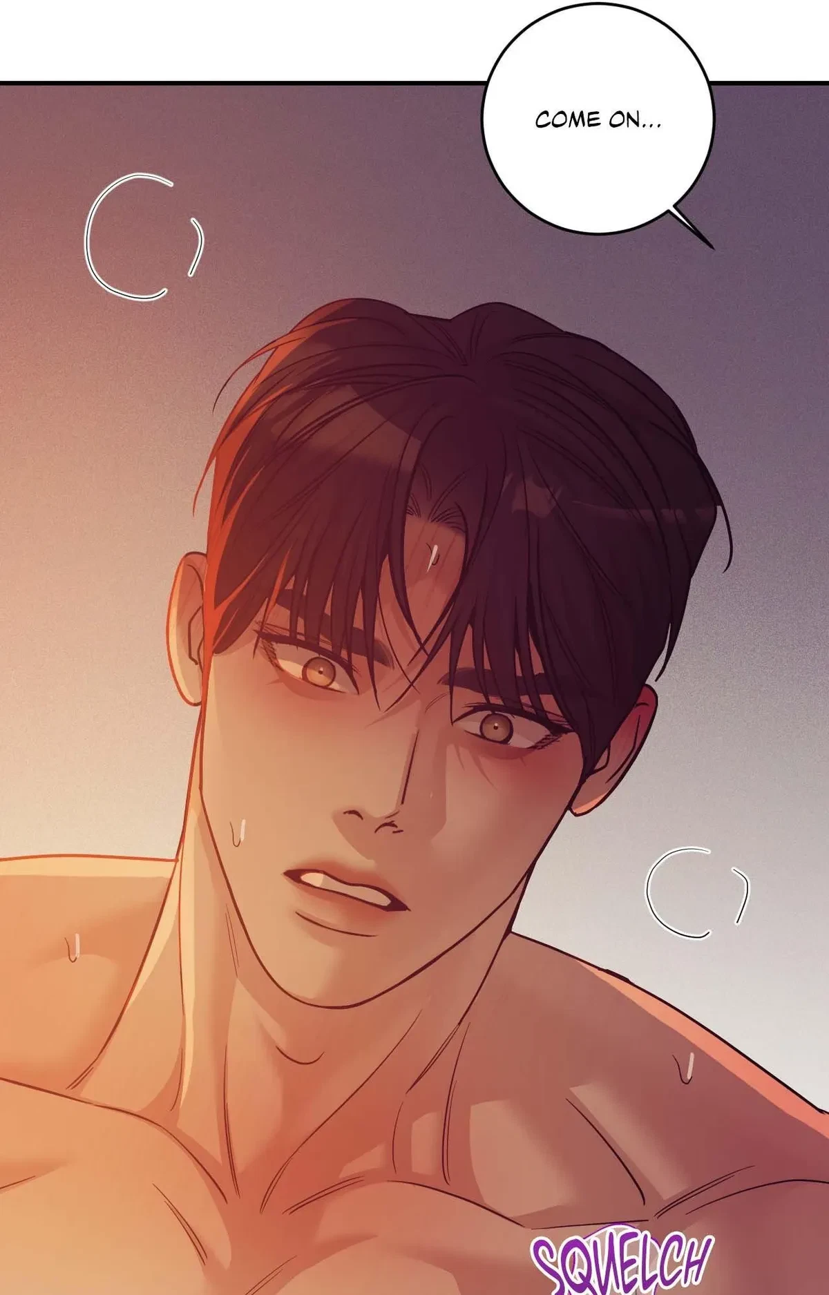 Side. : 17, page 88