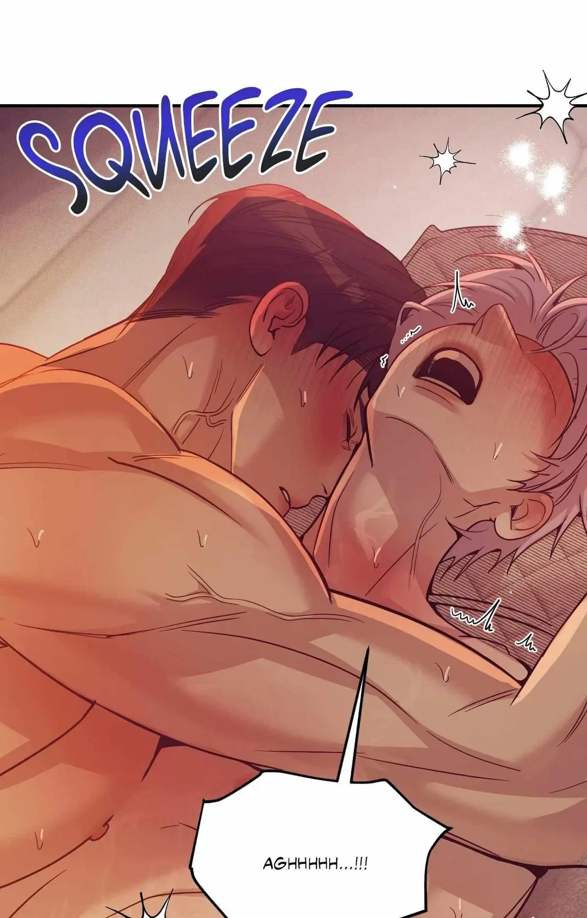 Side. : 17, page 91