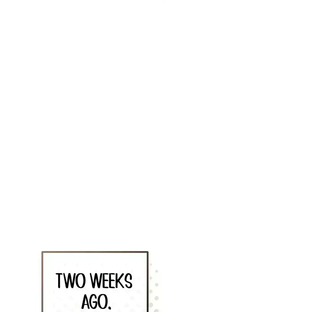 Chapter 1.4, page 40