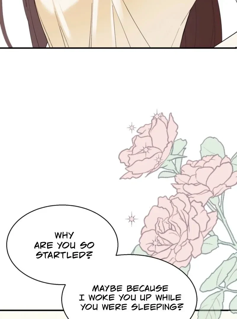 Chapter 2, page 15