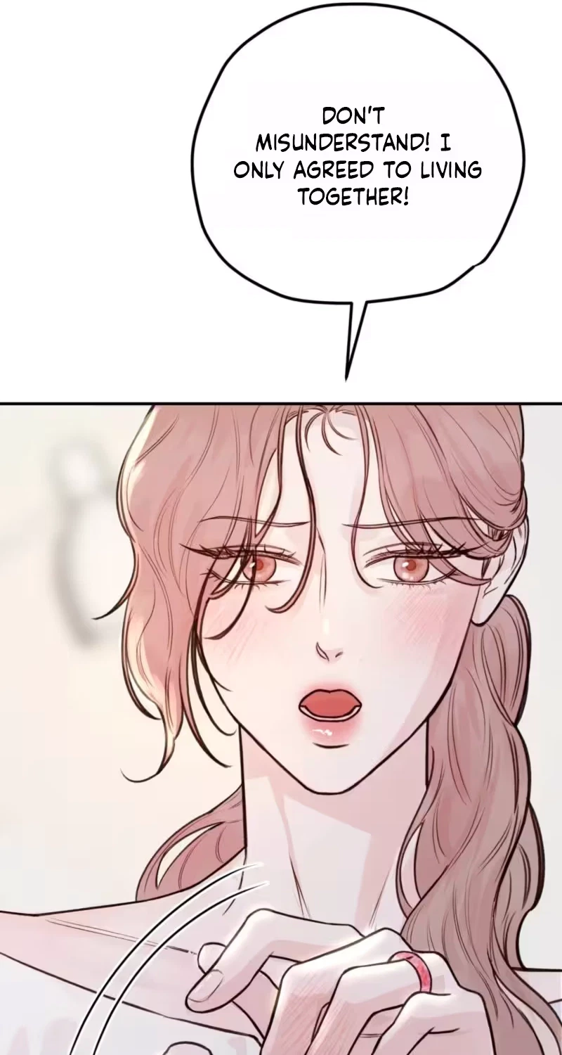 Chapter 3, page 96