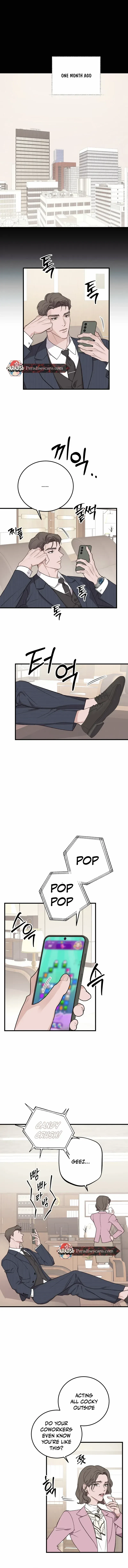 Chapter 2, page 8