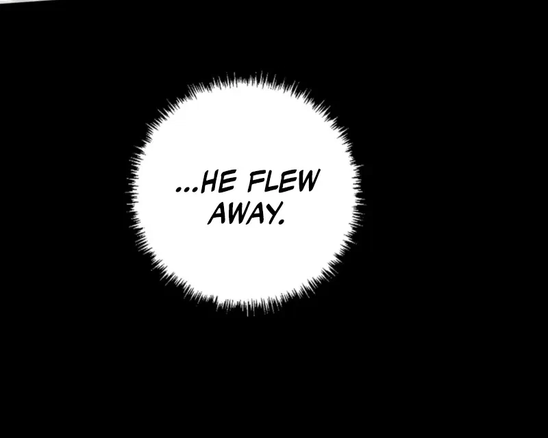 Chapter 2, page 17