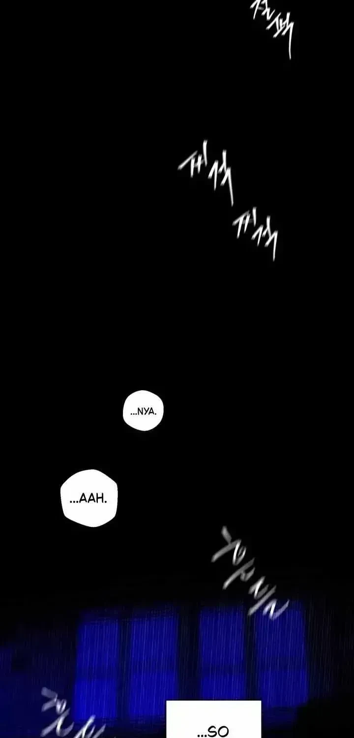 Chapter 1.3, page 53
