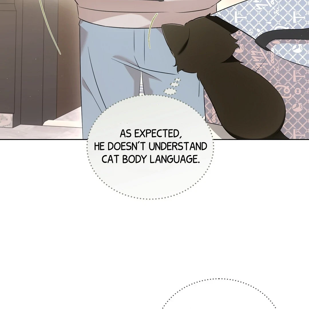 Chapter 8, page 61