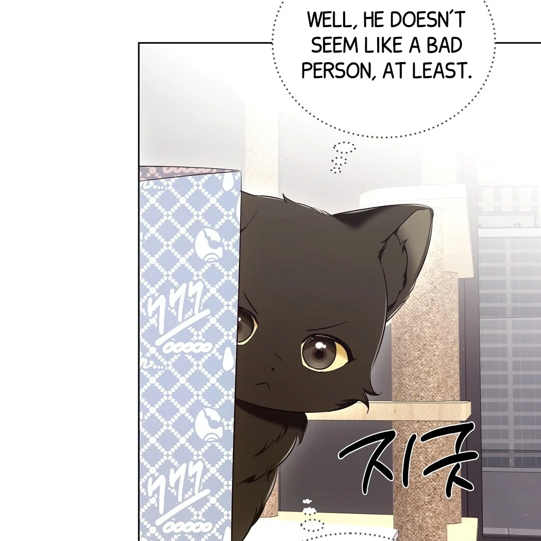 Chapter 8, page 62