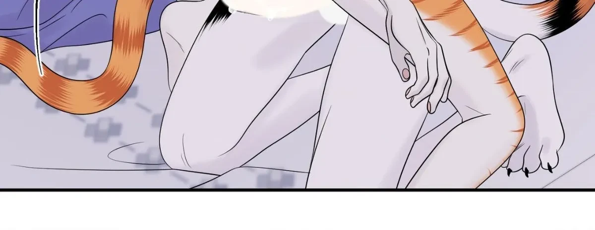 Chapter 81, page 36
