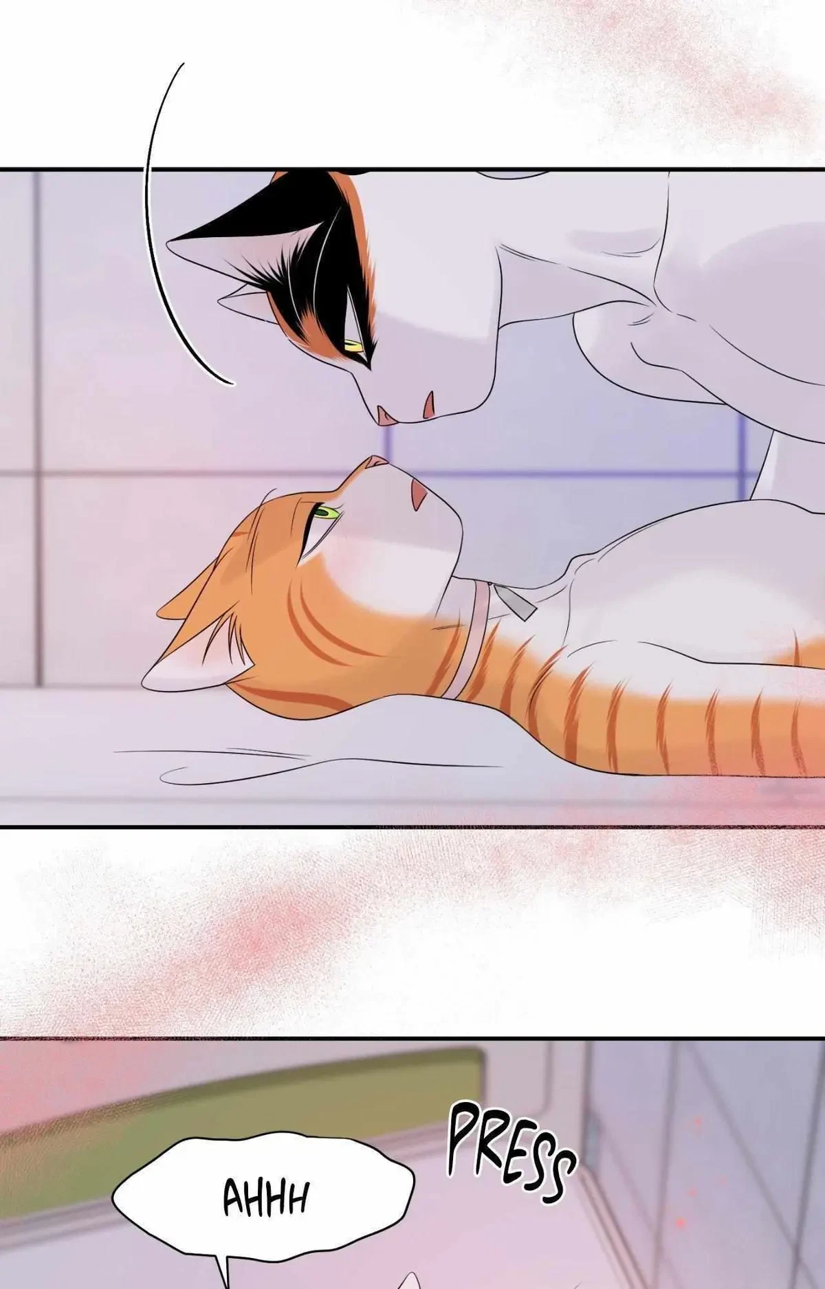 Chapter 81, page 55