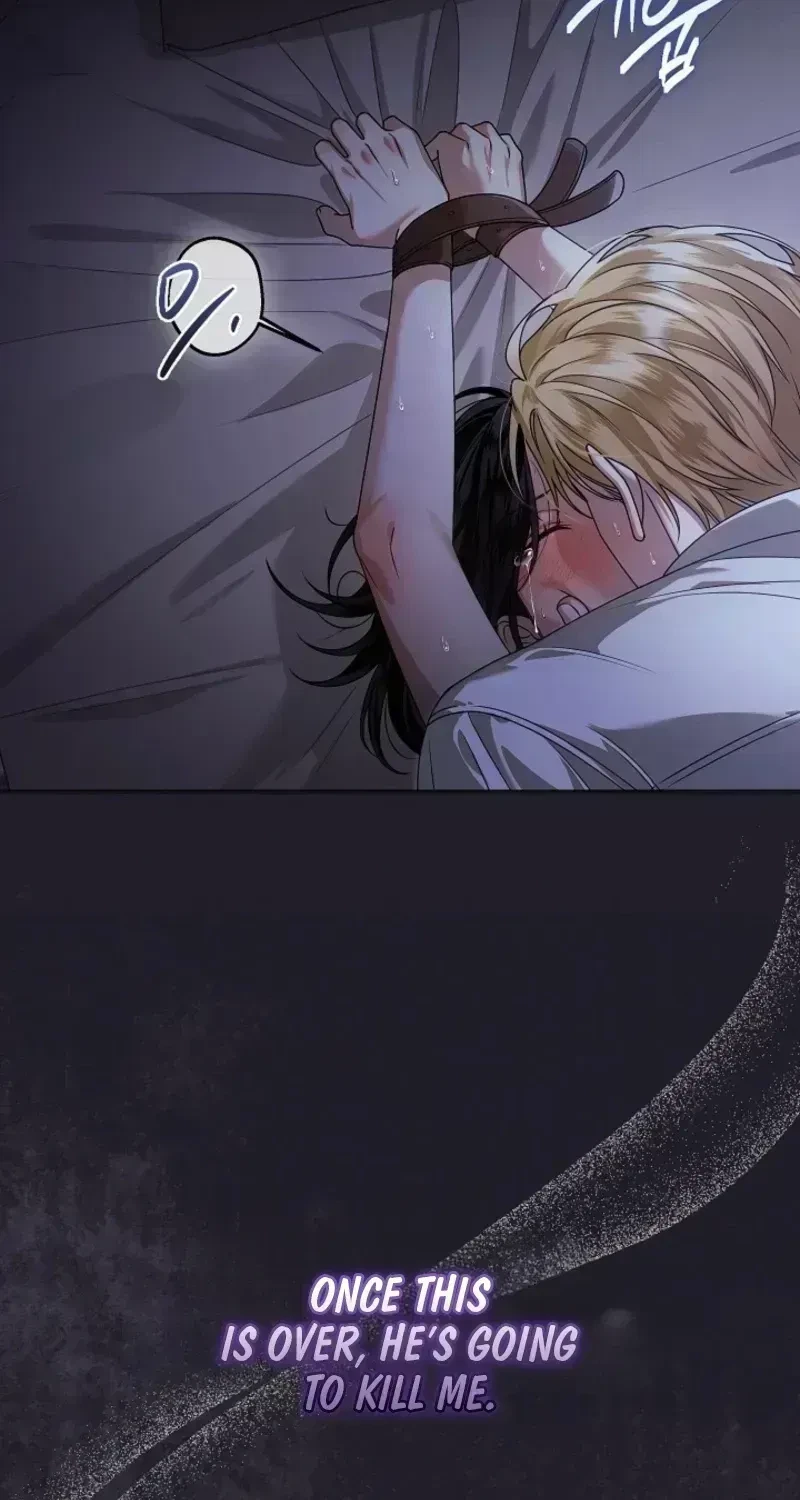 Chapter 1.3, page 17