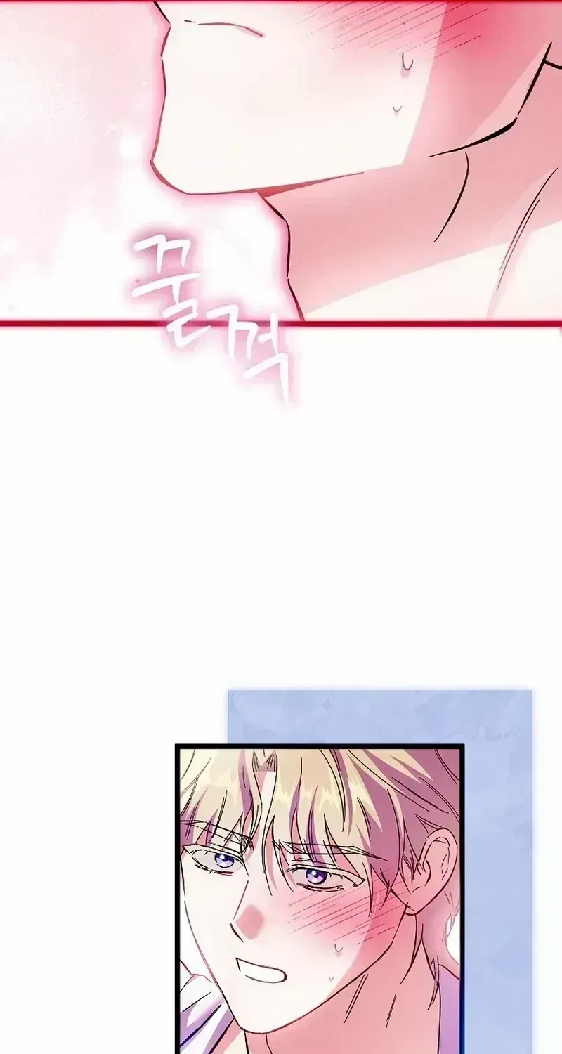 Chapter 2.4, page 21