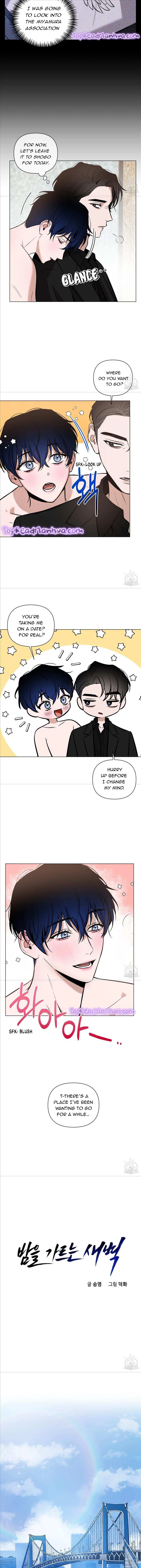 Dawn After Darkness Chapter 18, page 8