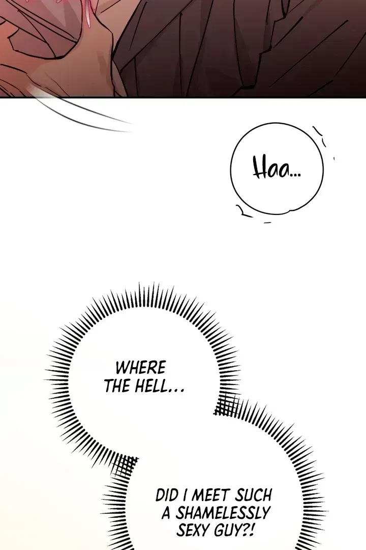 Chapter 2.9, page 106