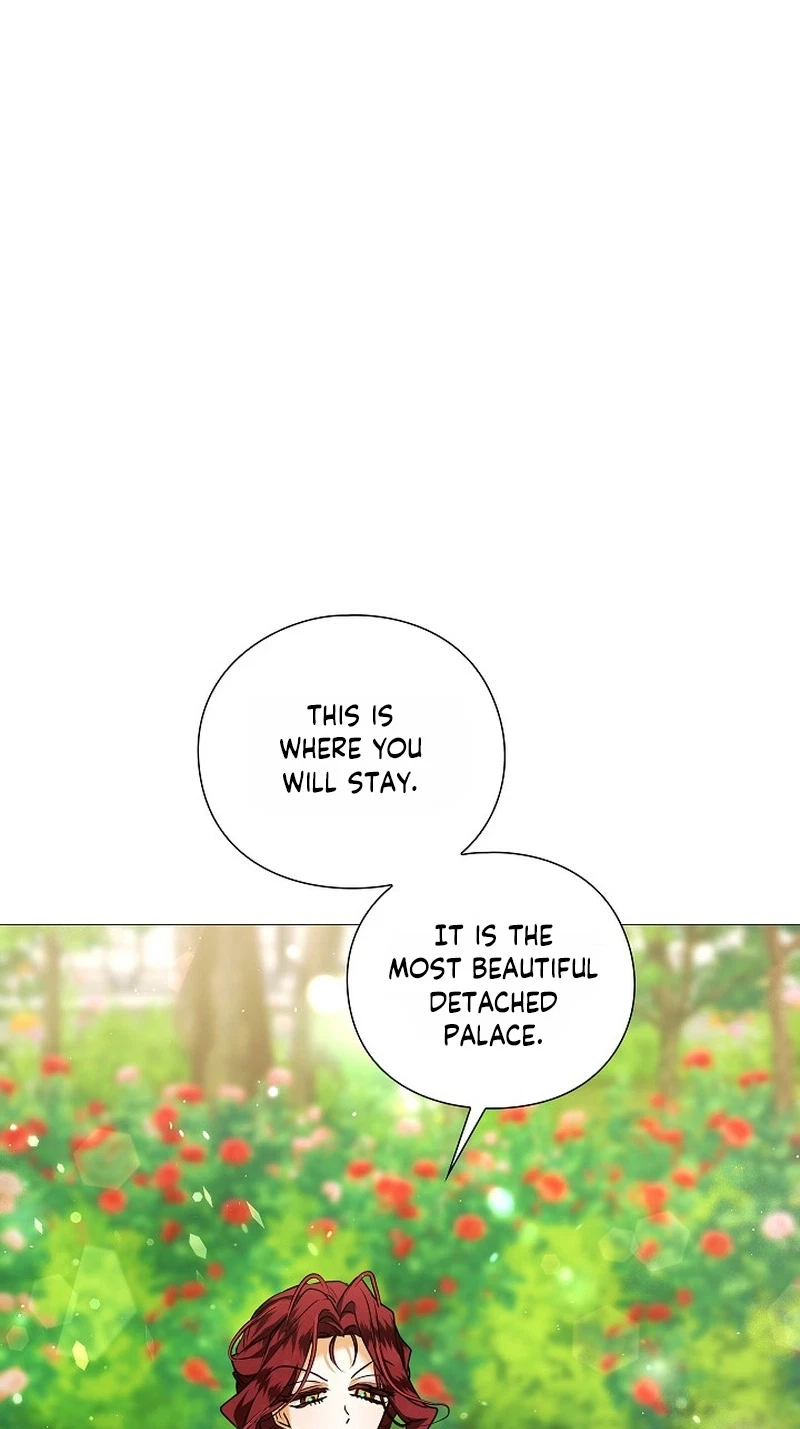Chapter 4, page 25