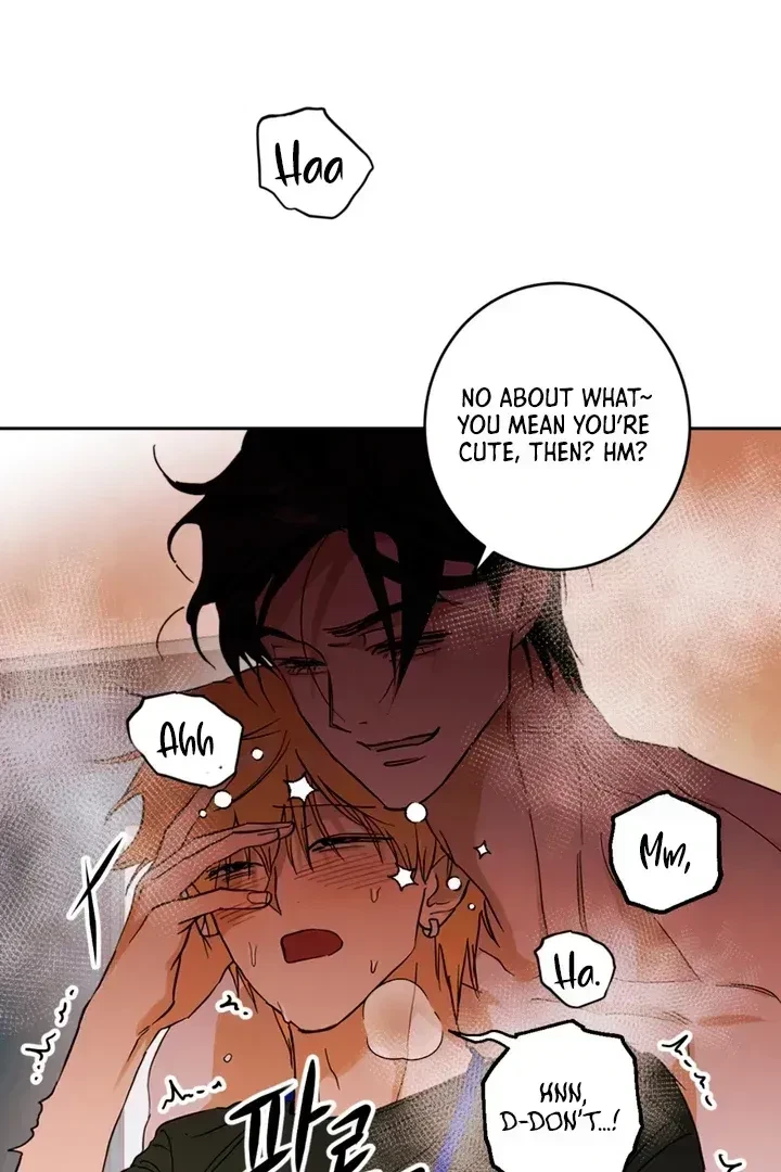 Chapter 1.5, page 33