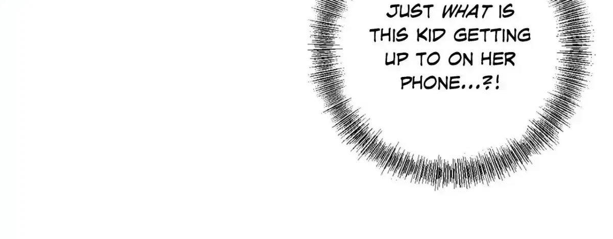 Chapter 2.4, page 45