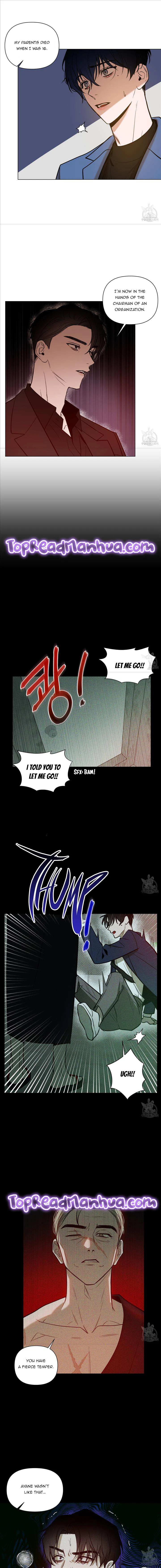 Dawn After Darkness Chapter 15, page 8