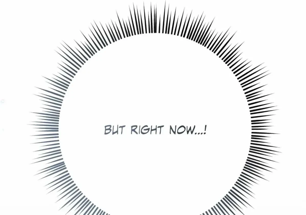 Chapter 3.1, page 50