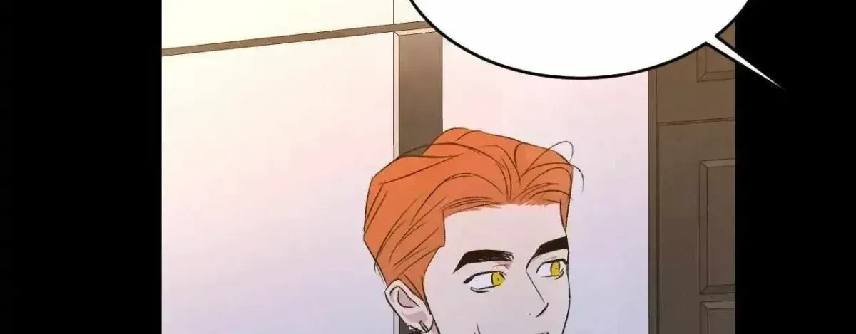 Chapter 2.5, page 100
