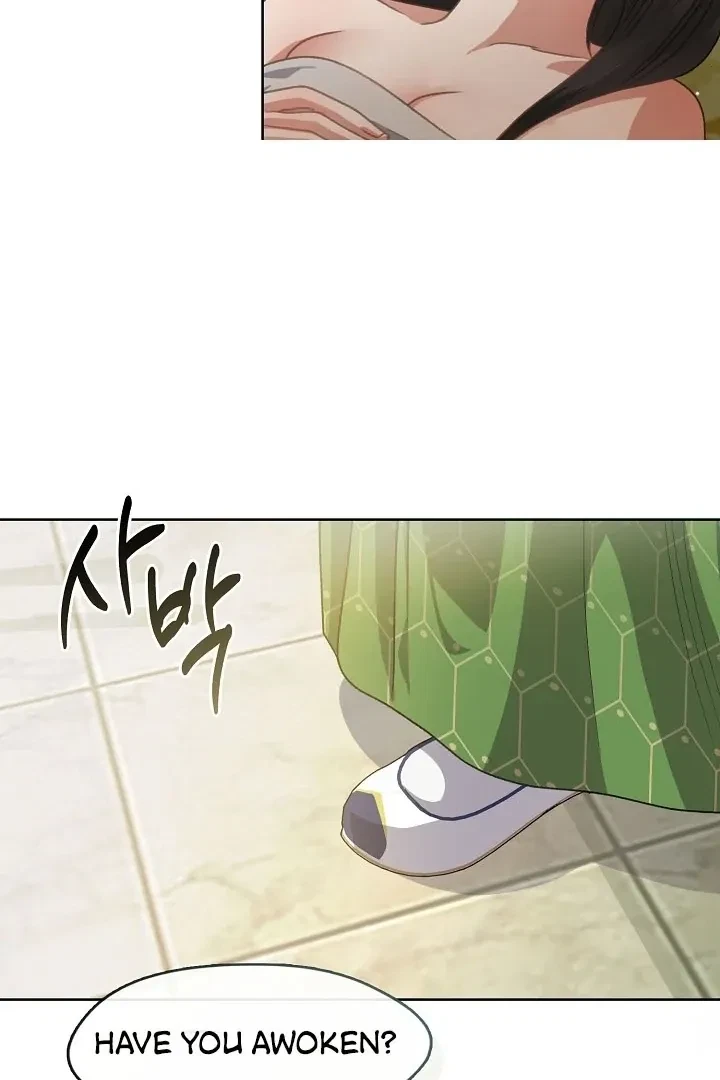 Chapter 4, page 43