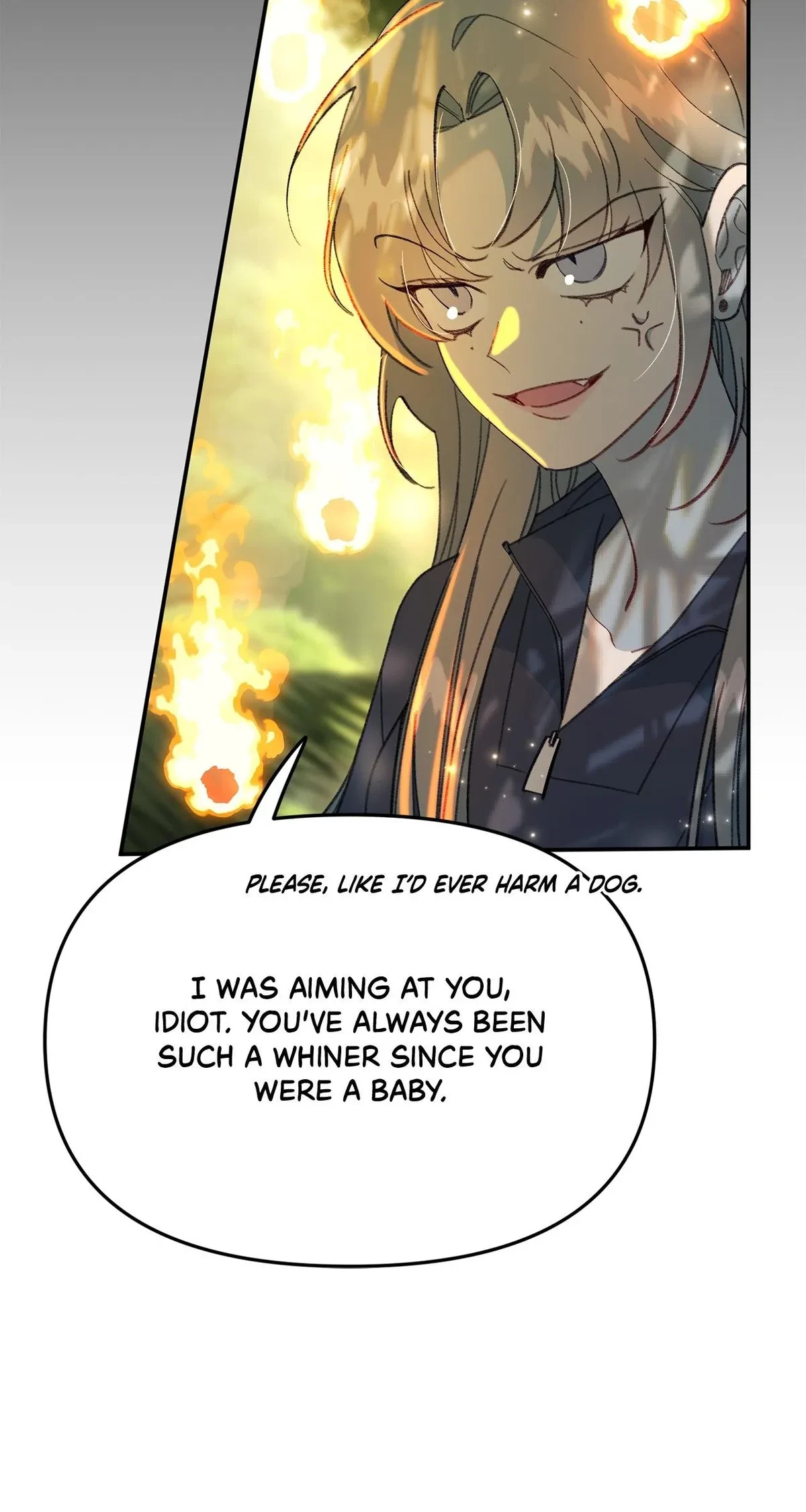 Chapter 1, page 13