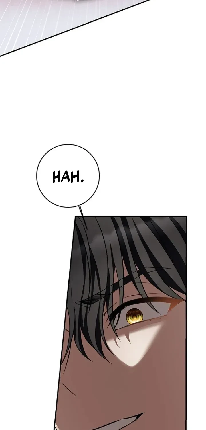 Chapter 4, page 52