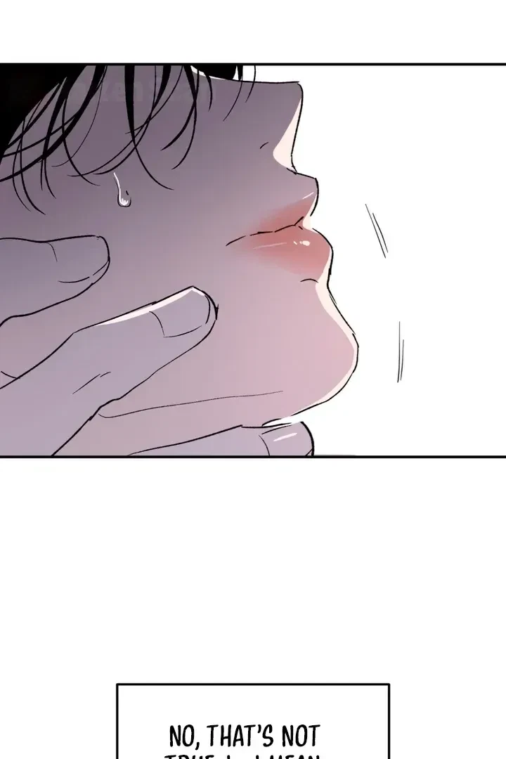 Chapter 1, page 97