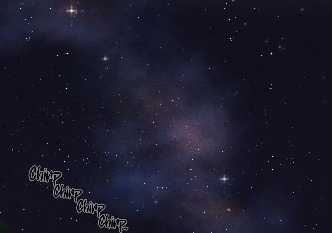 Chapter 13, page 137