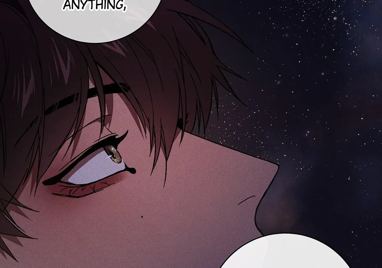 Chapter 13, page 166