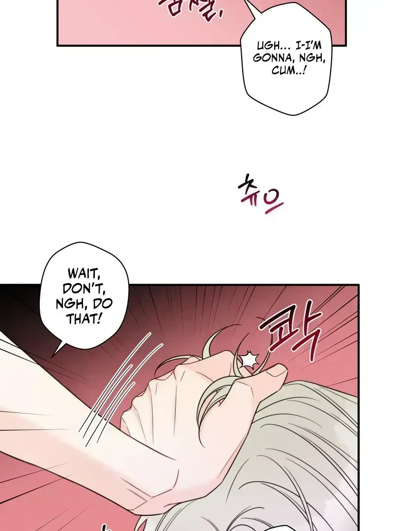 Chapter 1.3, page 11