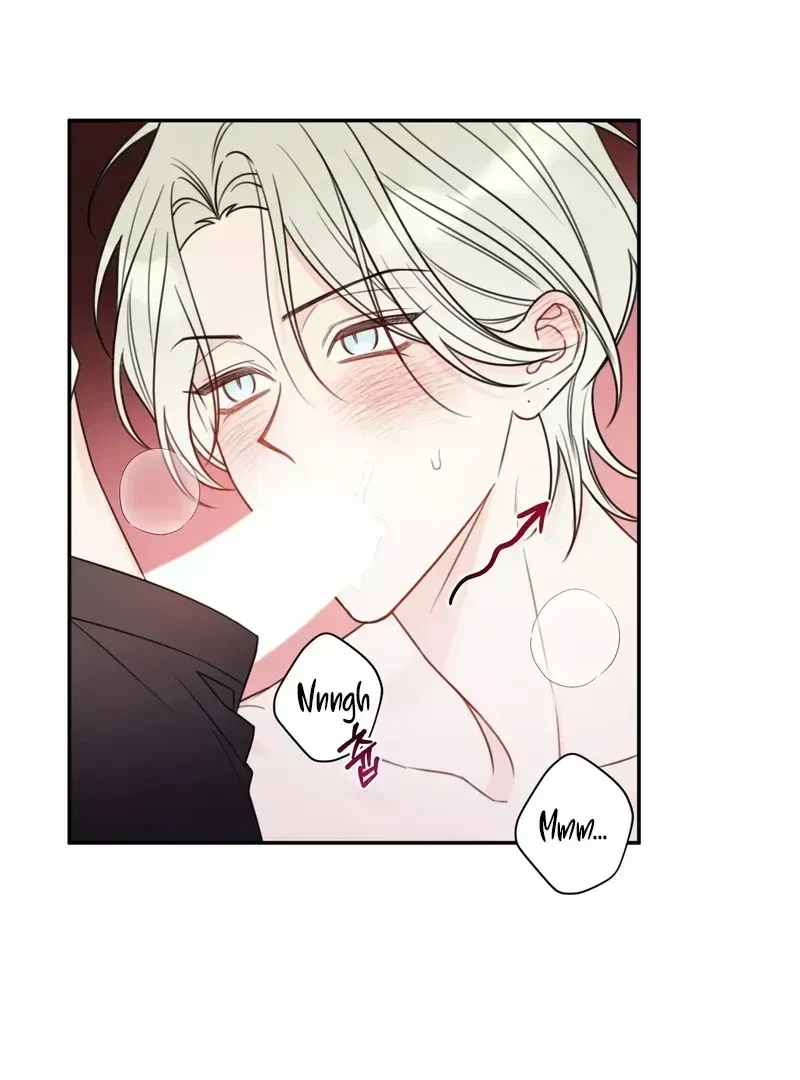Chapter 1.3, page 6