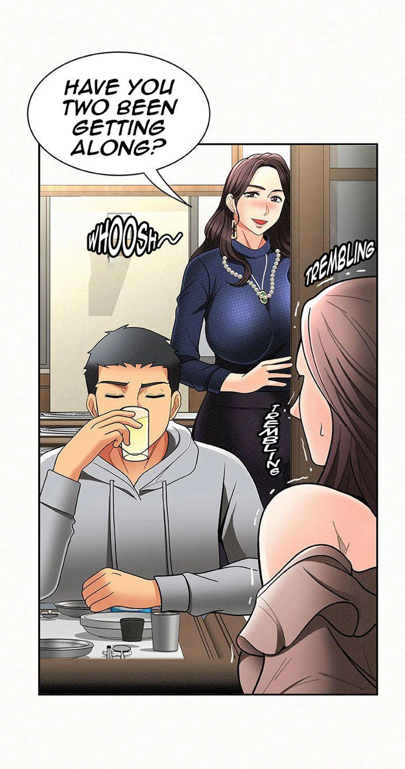 Chapter 4, page 102