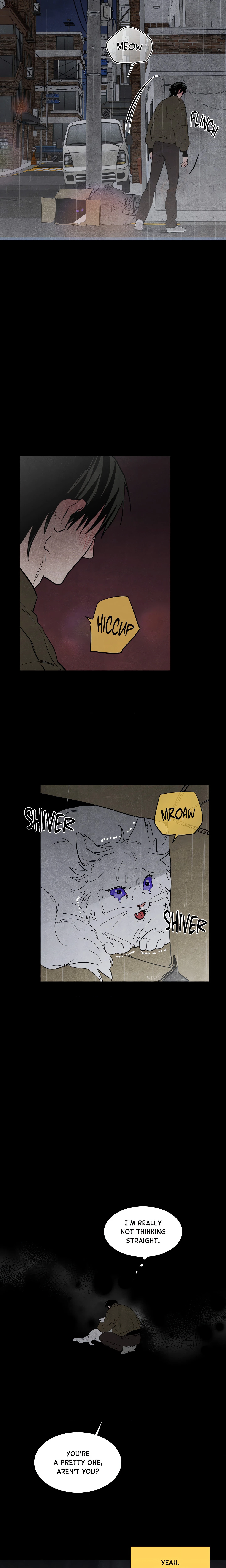 Chapter 1, page 11