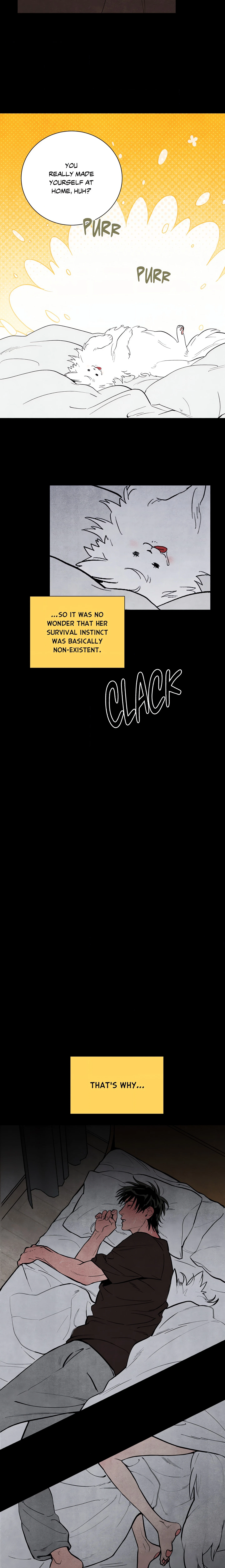 Chapter 1, page 15