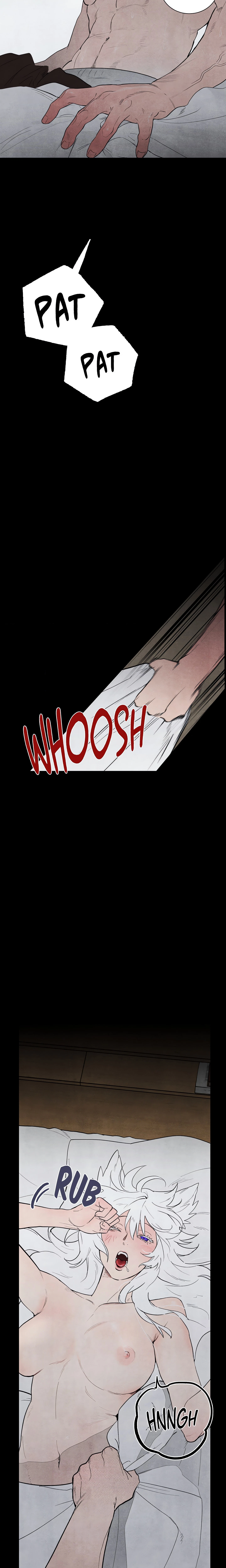 Chapter 1, page 17