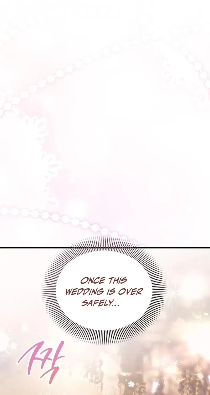 Chapter 2, page 28