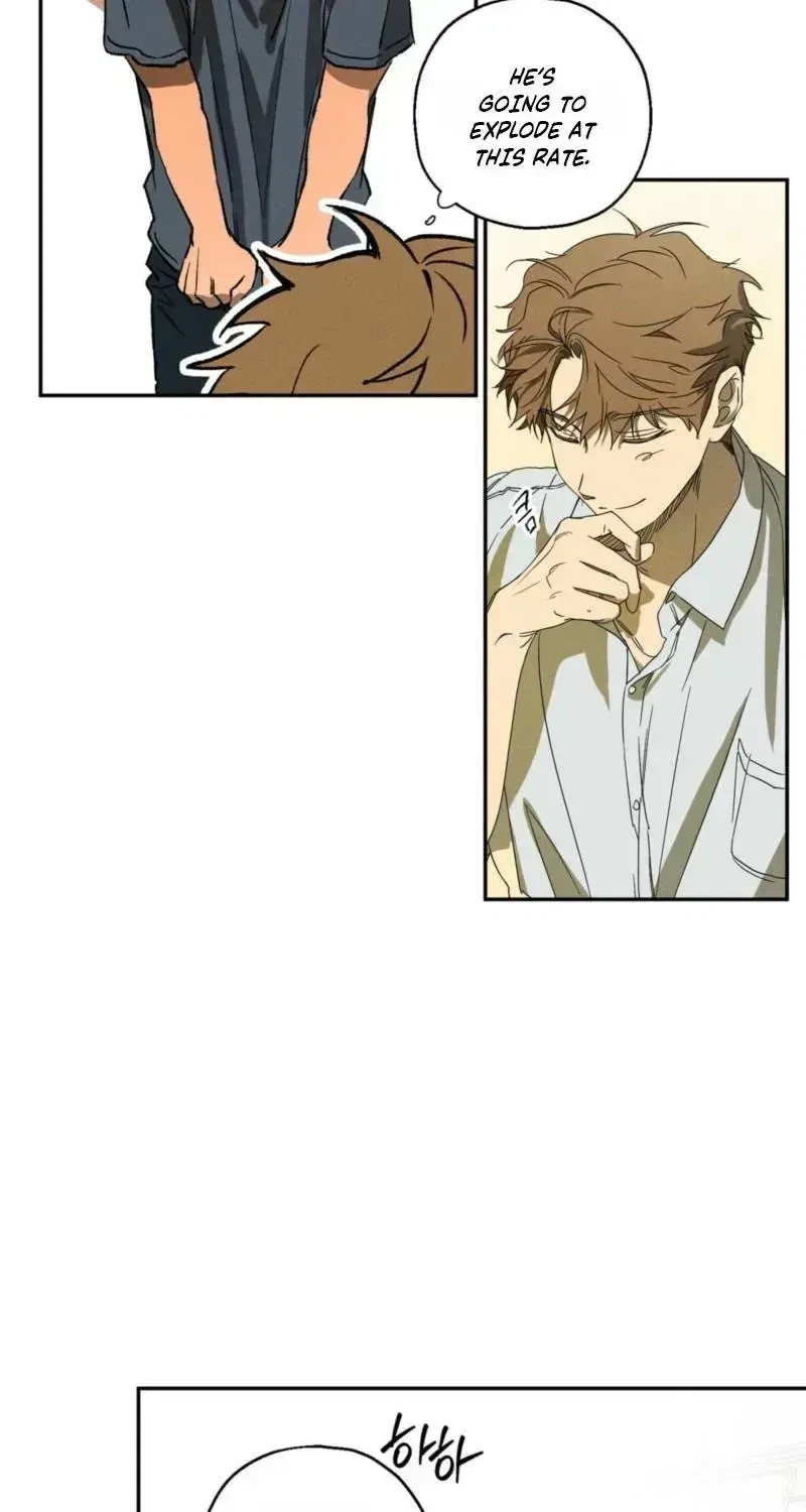 Chapter 1.2, page 40