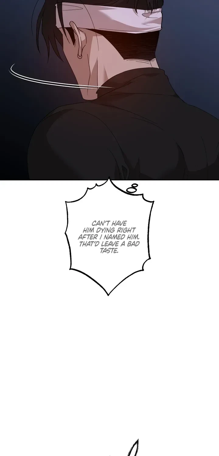 Chapter 4, page 43