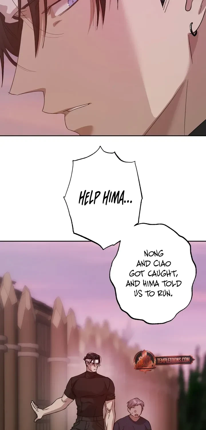 Chapter 4, page 5