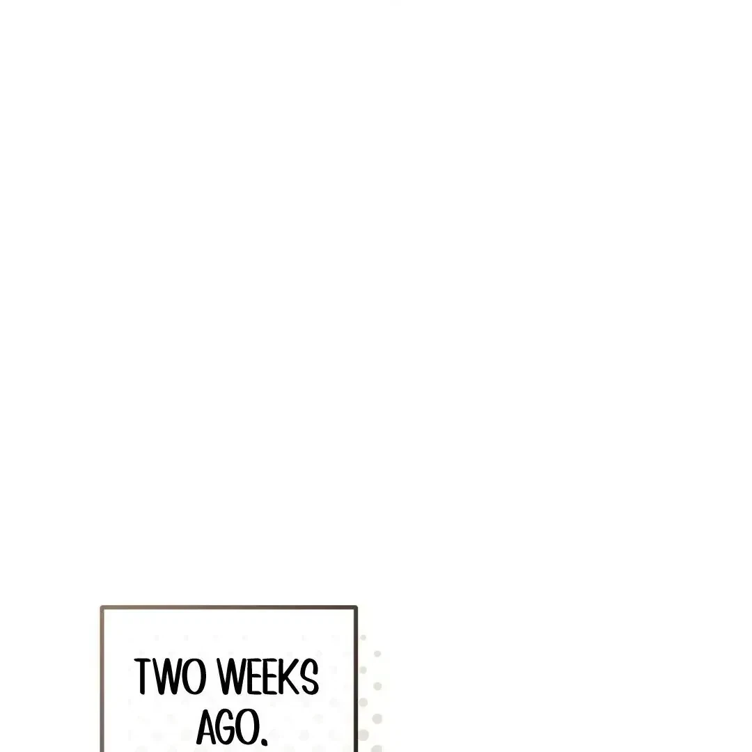 Chapter 1.2, page 40