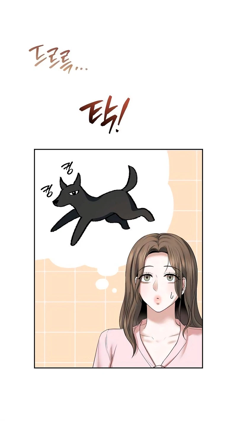 Chapter 21, page 64