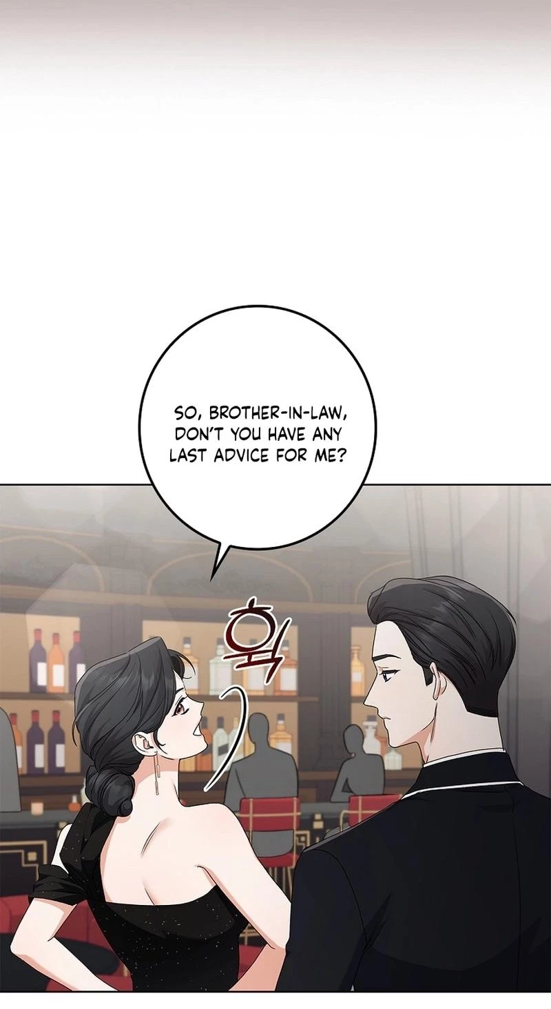 Chapter 17, page 96